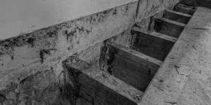 fotografía análisis estructura de madera